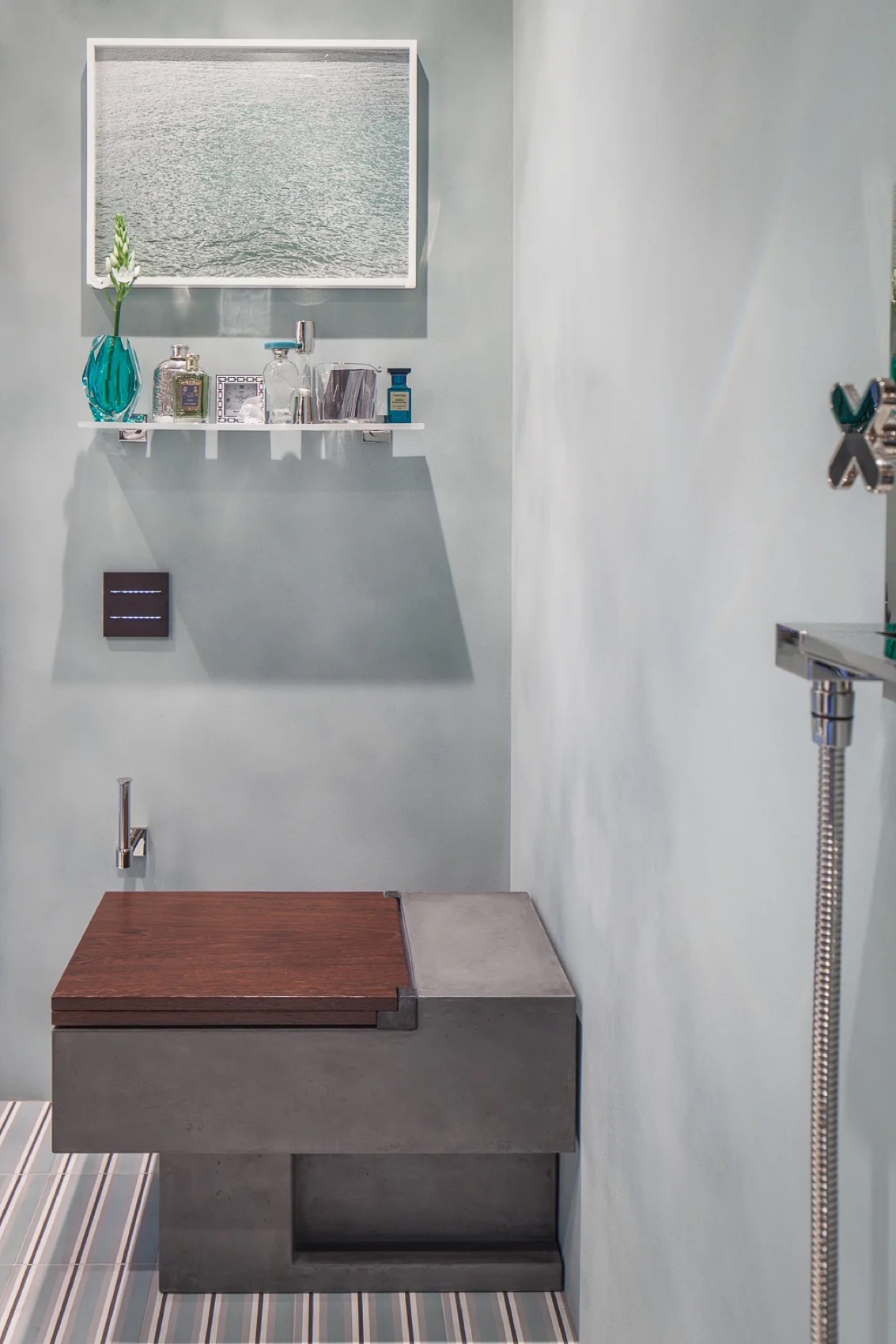 Elysium, Pacific Heights interior, Pacific Heights, San Francisco, image 6